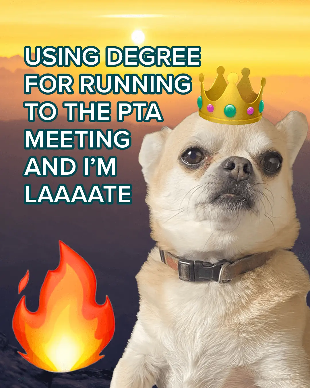 A small dog wearing an emoji crown looks serious in front of a sunrise. Bold text says, Using Degree for running to the PTA meeting and Im laaate. A flame emoji appears in the bottom left corner.